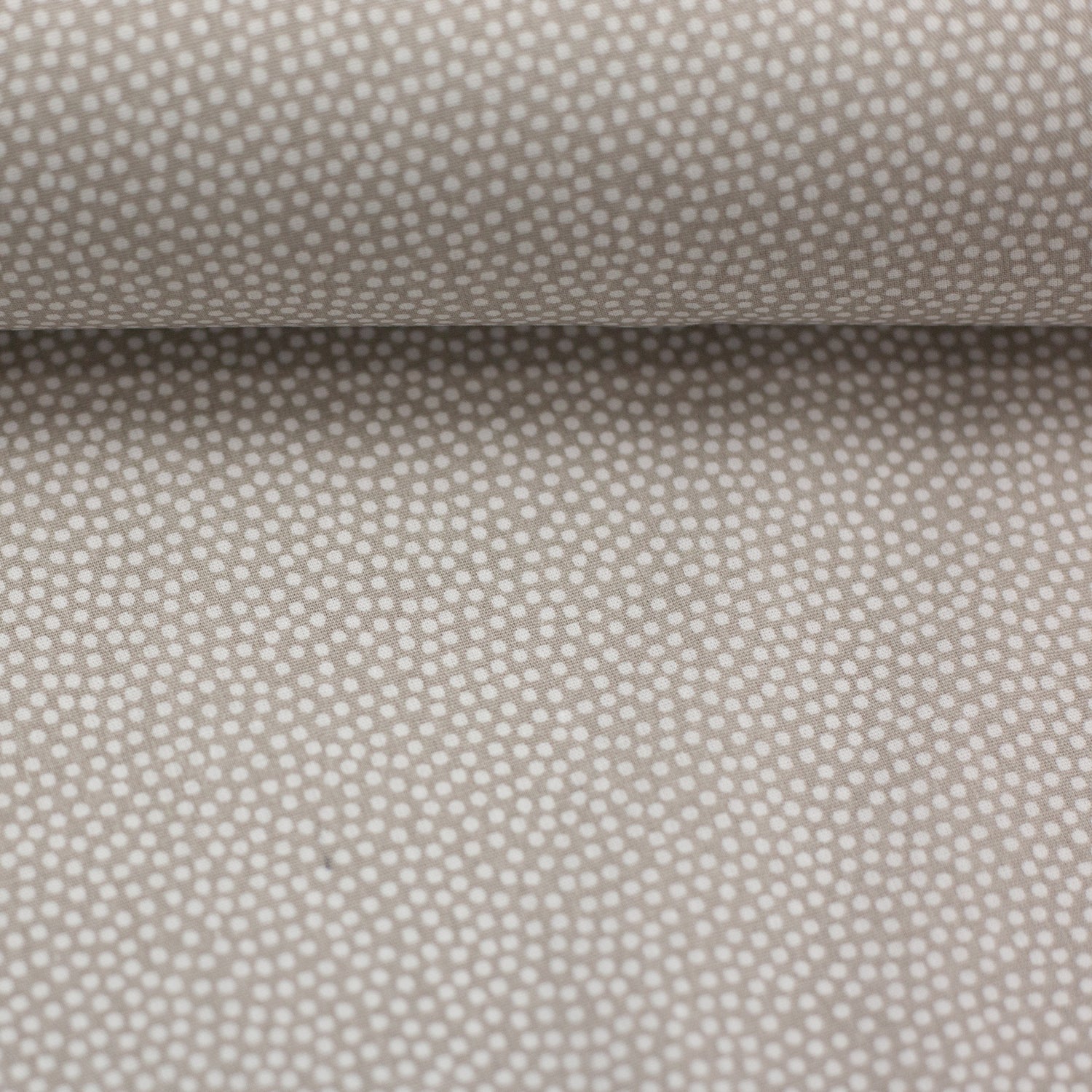 Baumwollstoff, Dotty, swafing, Warmgrau, Meterware